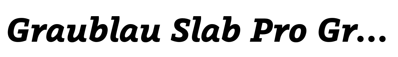 Graublau Slab Pro Graublau Slab Bold Italic